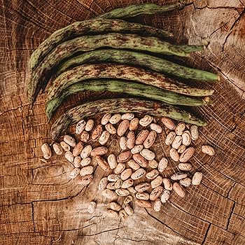 Beansページ Bush's Best Country Style Baked Beans, 28 oz | Joe V's Smart